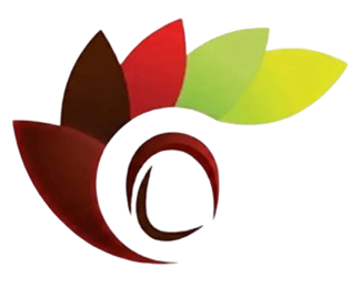 nellai-eye-care-preloader-e1773691548362